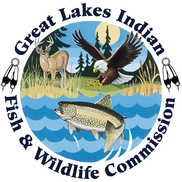 Great Lakes Indian Fish and Wildlife Commission logo
