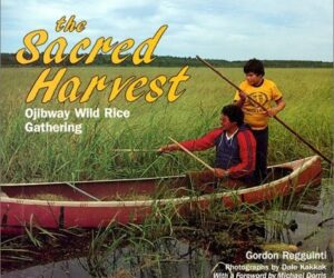 The cover of The Sacred Harvest has two men harvesting wild rice from a canoe