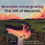 The cover of The Gift of Mnoomin has a canoe in a wetland