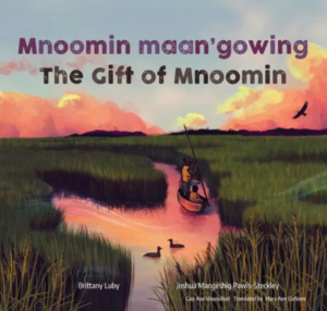 The cover of The Gift of Mnoomin has a canoe in a wetland