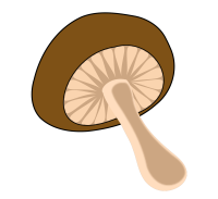 Mushroom Mushroom